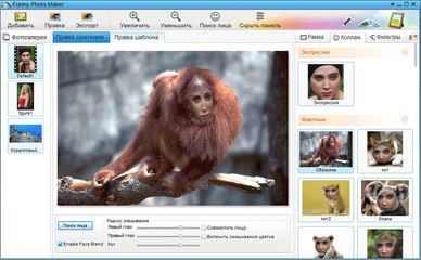 Funny Photo Maker программа для создания фотоприколов