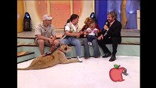 Un enfant se fait attaquer par un lion en direct à la télé
