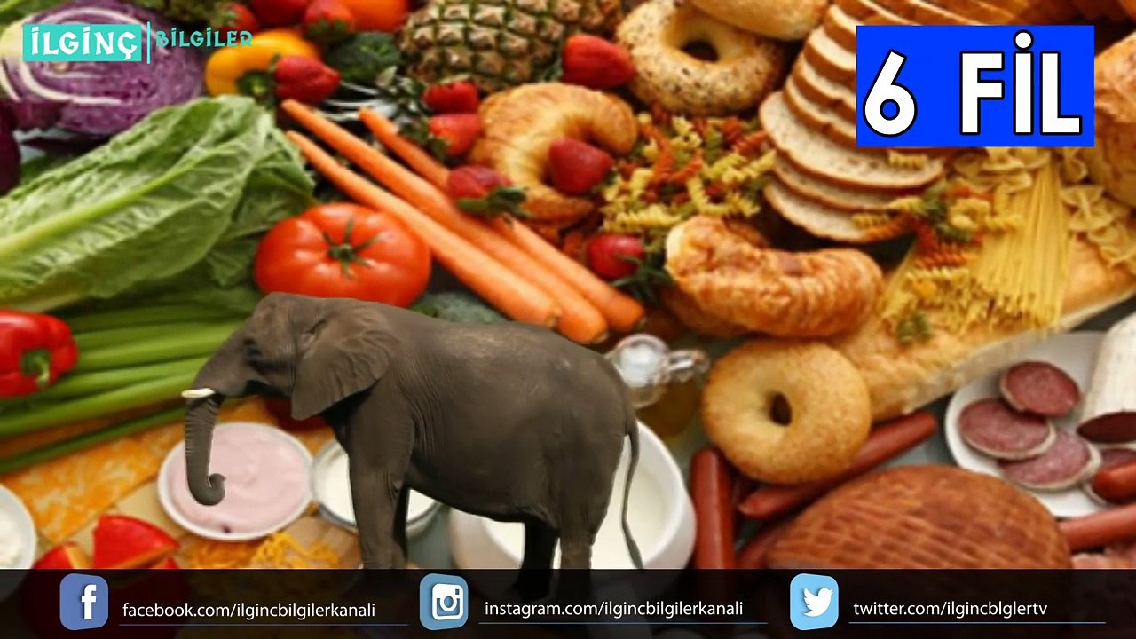 İnsan Vücudu Hakkında Şaşırtıcı İlginç Bilgiler