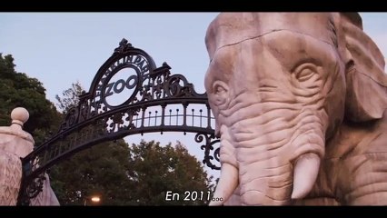 Zookeeper VOST