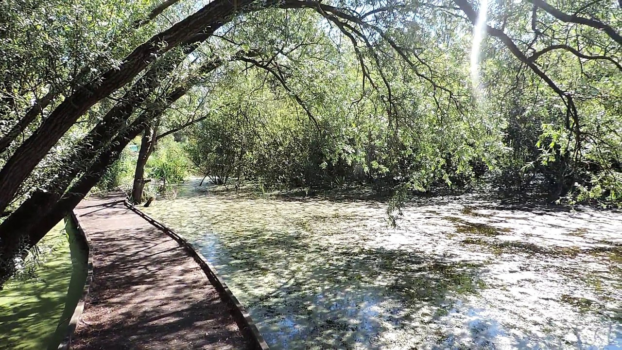 Les marais d'ANNEQUIN