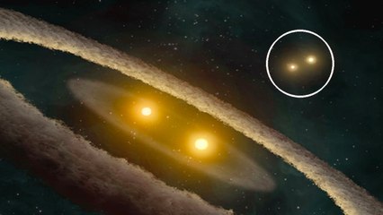Top 10 Weirdest Things Found In the Universe