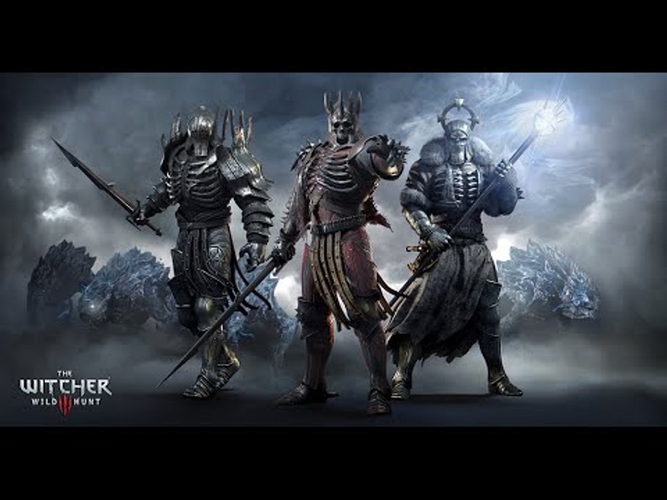 Witcher 3 Wild Hunt - Final battle