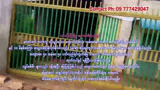 Land for Sale Price US Dollar 1500$ Myanmar Country (Taunggyi City)