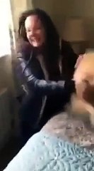 Un chien sent sa maîtresse dans la maison alors que cela fait 7 mois qu'elle n'est plus là