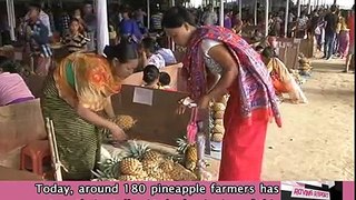 PINEAPPLE FESTIVAL ORGANISED IN IMPHAL TO PROMOTE GROWERS