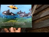 Octonauts toys book Cbeebies   Octonautas   바다탐험대 옥토넛 story by Kids Toys