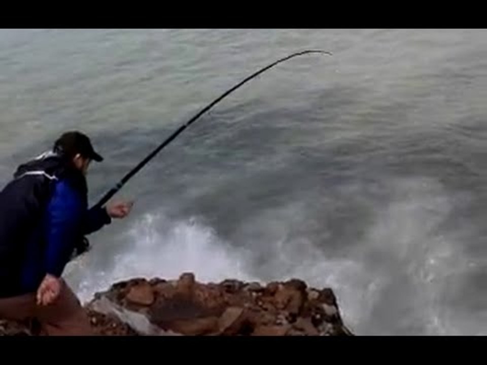 صيد سمك الشرغو و طريقة رفعه من الاماكن العالية 2016