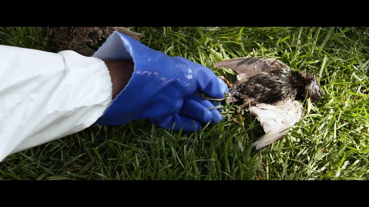 Dark Skies - Extrait (3) VOST