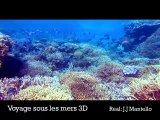 Voyages sous les mers : Interview vidéo de Marion Cotillard