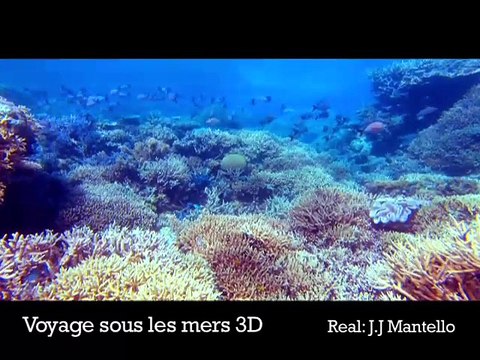 Voyages sous les mers : Interview vidéo de Marion Cotillard