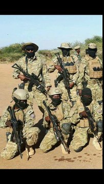 Ciidanka somalia awoododa ( somali millatry power) 2016