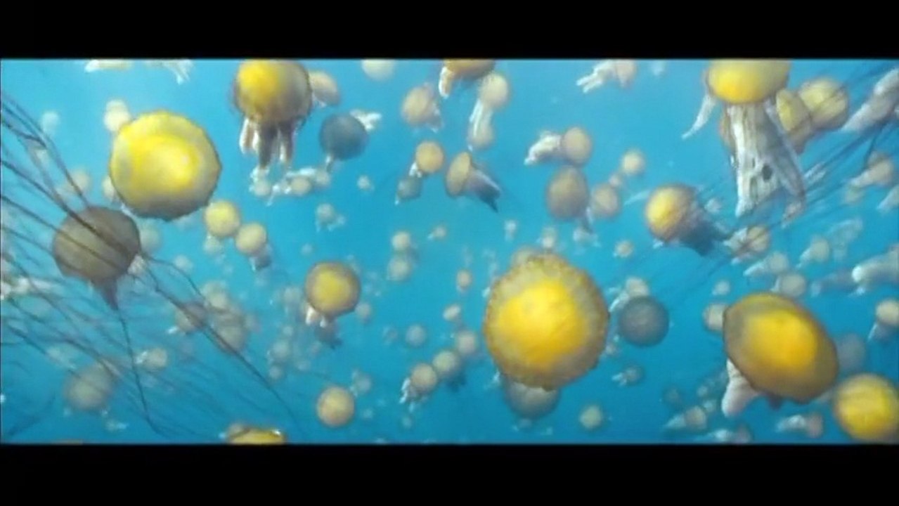 Océans