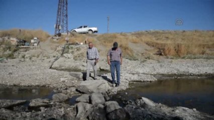 Polatlı'da Sakarya Nehri Kurudu