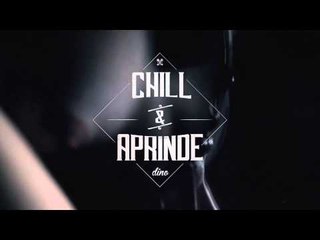 Dinoecelmaitare - Chill & Aprinde / WTF Mixtape
