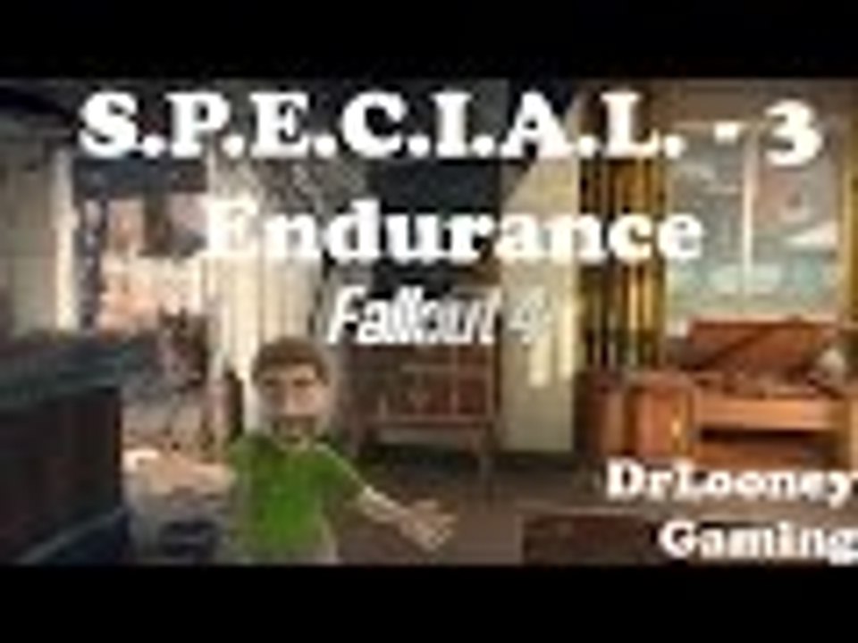 Endurance S.P.E.C.I.A.L. (3) - Fallout 4