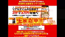 20秒で分かる健坊 有限会社ZERO 無限の３分で３万円稼ぐ方法　取引履歴が出せない？