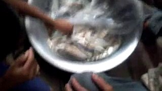 Arabian Sea fish selling in mumbai jhopad pattis