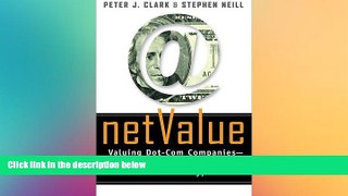 READ book  Net Value: Valuing Dot-Com Companies - Uncovering the Reality Behind the Hype READ