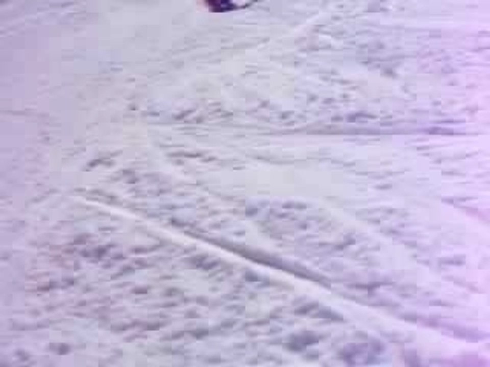 Ski en foli