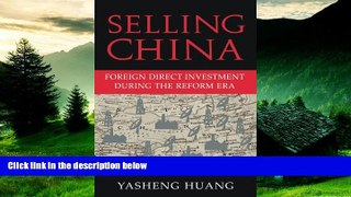 READ FREE FULL  Selling China: Foreign Direct Investment during the Reform Era (Cambridge Modern