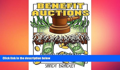 READ book  Benefit Auctions: A Fresh Formula for Grassroots Fundraising  FREE BOOOK ONLINE