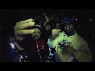 ANIMALI SENZA RAZZA - illegal city (official videoclip HQ)