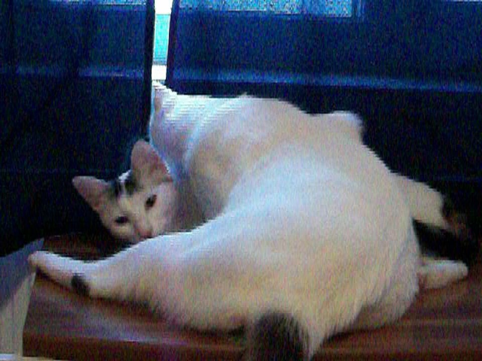 Harvey und Vinzent am 07.08.2016