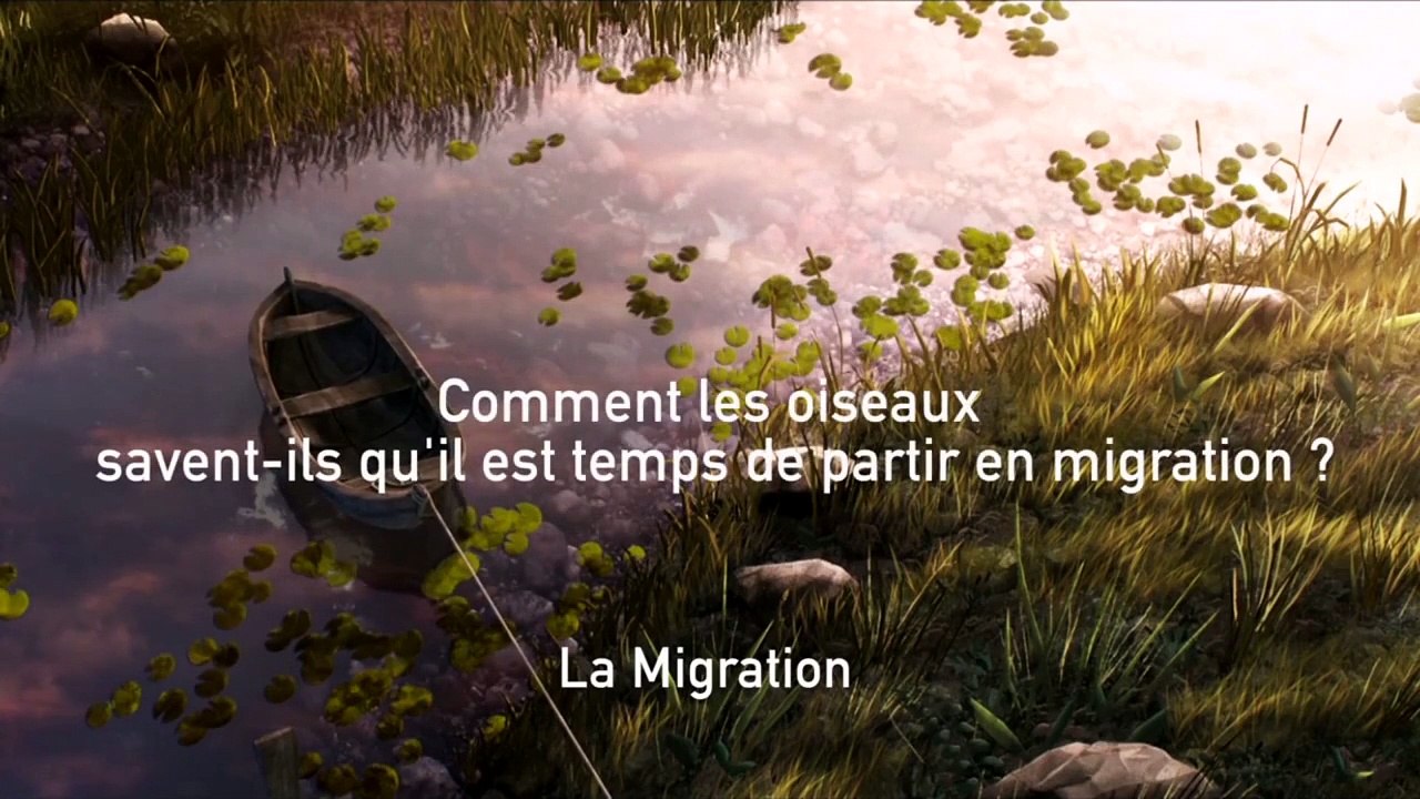 Gus, petit Oiseau, grand Voyage - Featurette (4)
