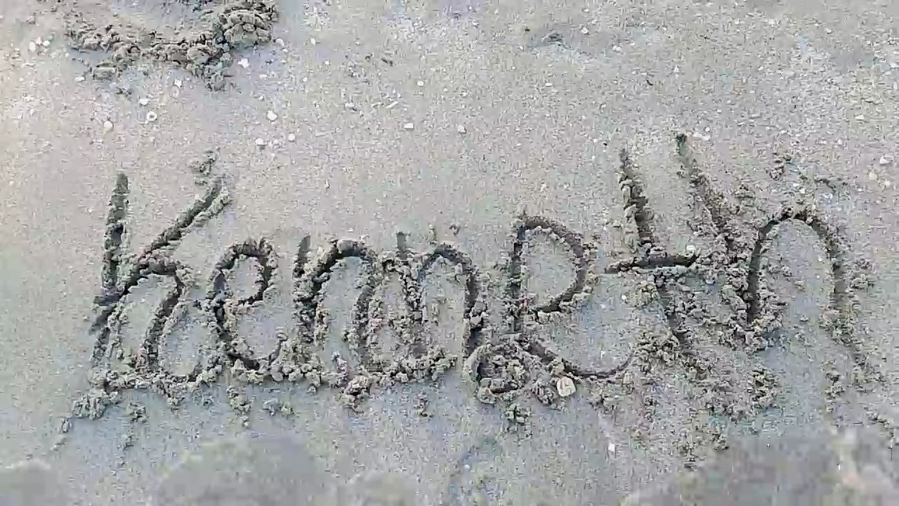 *Miami  Beach*