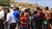 Palestinos protestan contra la intervención de excavadoras israelíes en sus tierras