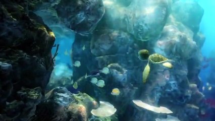 Le Voyage extraordinaire de Samy VF