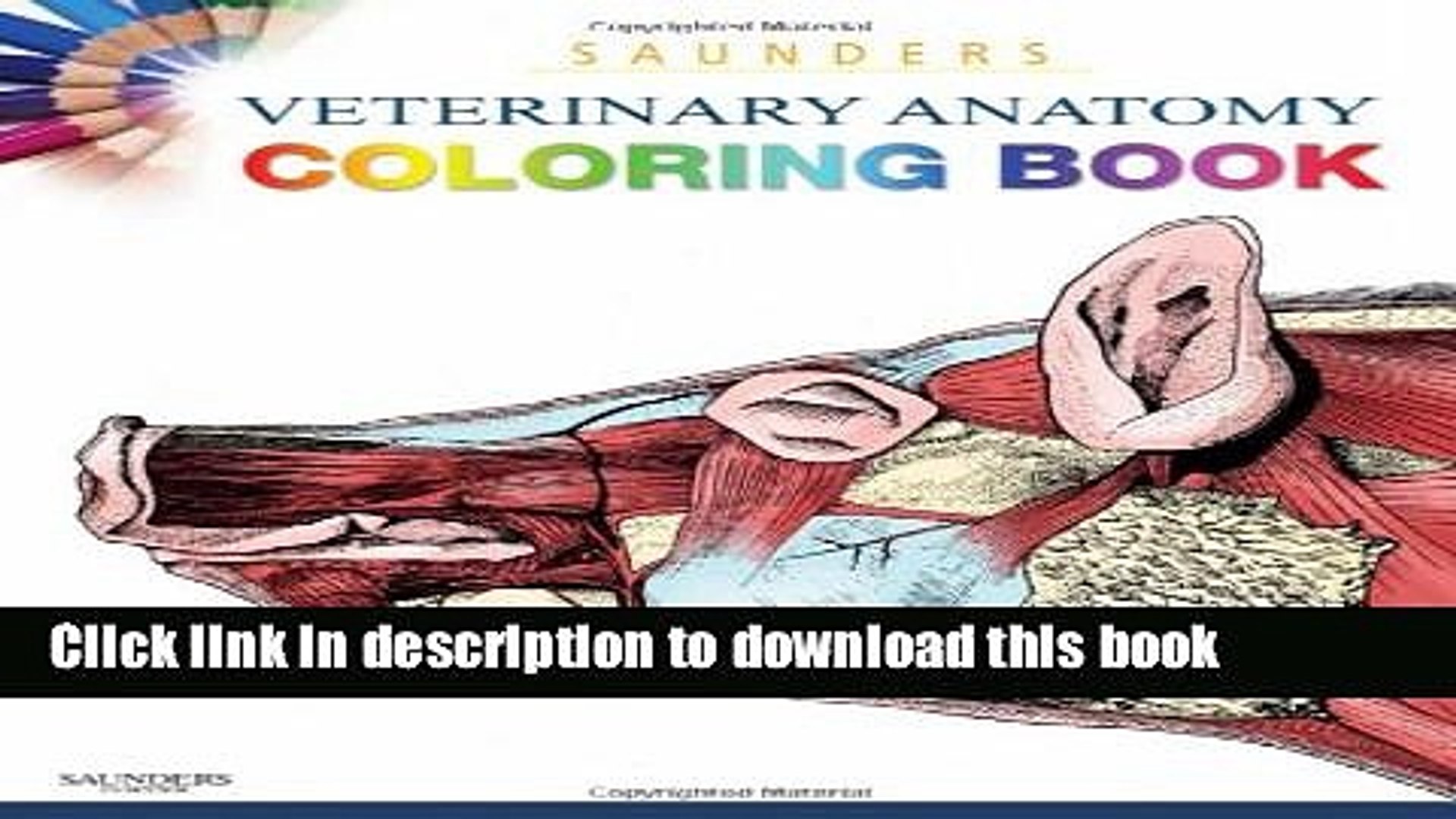 Download Download Saunders Veterinary Anatomy Coloring Book 1e Hardcover Free Video Dailymotion