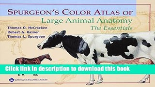 [Download] Spurgeon s Color Atlas of Large Animal Anatomy: The Essentials Kindle Online