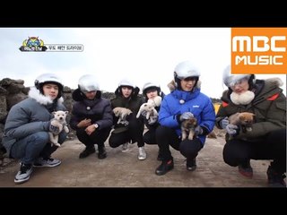 VIXX어느멋진날 - 3회 우도 해안 드라이브 중 만난 VIXX와 강아지들의 케미폭발