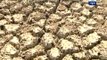 EGoM approves Rs 1,207 crore drought relief package to Maharashtra