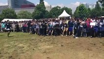 【衝撃映像】 欅坂46 ファンが殺到し会場破壊 TIF2016 Keyakizaka46 Fans Stampede Accident TIF