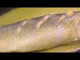 سمك بوشيه بالصوص الخشتى والزبيب واللوز-أرز اسود بالمحار| طبخة ونص الحلقة كاملة