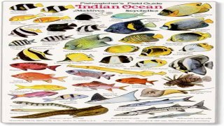INDIAN OCEAN Fishwatchers Fish Guide for Maldives Seychelles Kenya
