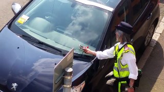 HIT AND RUN PARKING WARDEN