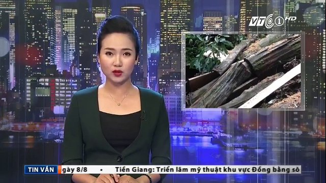 Nghệ An- Phát hiện vụ phá rừng nghiêm trọng