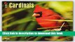 [Download] Cardinals 2016 Square 12x12 (Multilingual Edition) Kindle Free