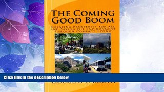 Big Deals  The Coming Good Boom: Creating Prosperity for All and Saving the Environment through