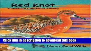 [Download] Red Knot: A Shorebird s Incredible Journey Kindle Free