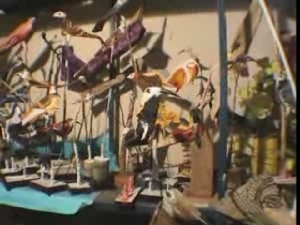 Les oiseaux extraordinaires de Tall Diedhiou
