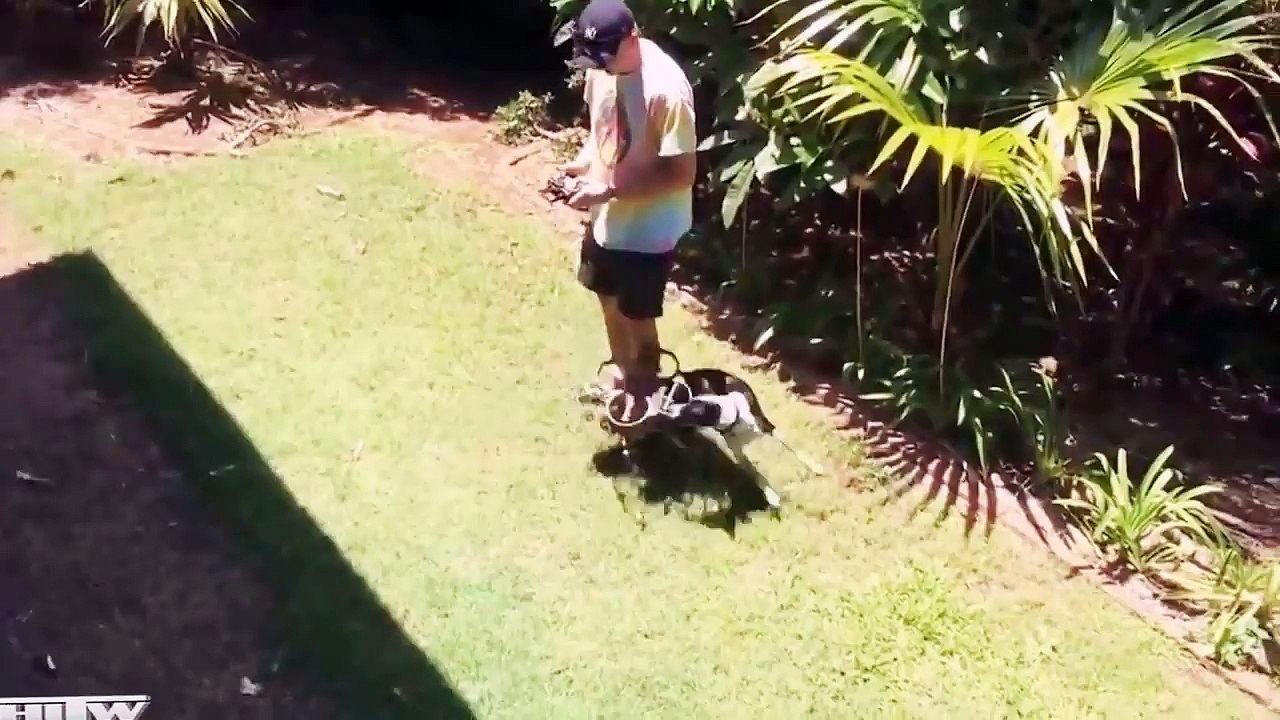 Funny Videos 2016 - Funny Fails Compilation - Stupid People Doing Stupid Things 2016