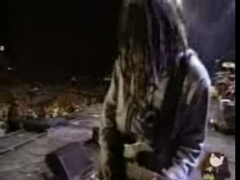 Korn Faget woodstock