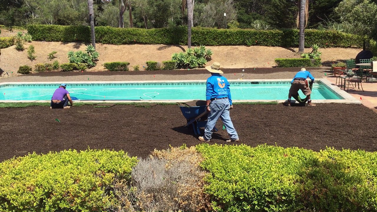 Sods Installation in Montecito
