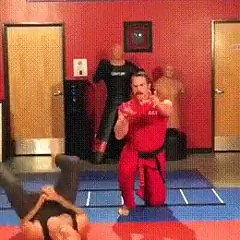 Rigid self-defense  // Жесткая самооборона