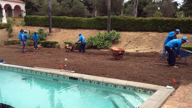 Sods Installation by SB Evolution Landscape Company